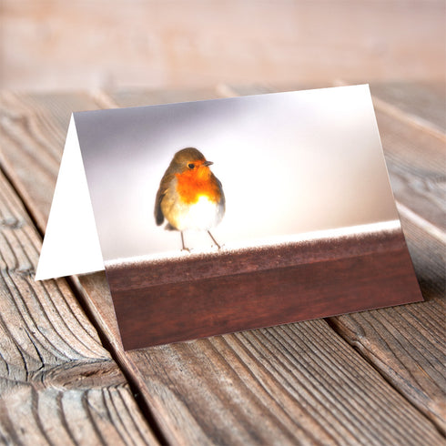 Christmas Frosty Morning - Christmas Card